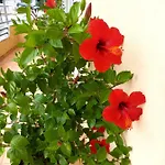 Guesthousemantho Гостевой дом
