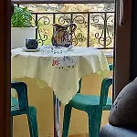 Guesthousemantho
