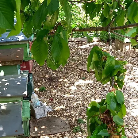 Gasthuis Guesthousemantho *