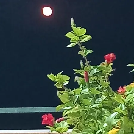 Guesthousemantho Gjirokastër