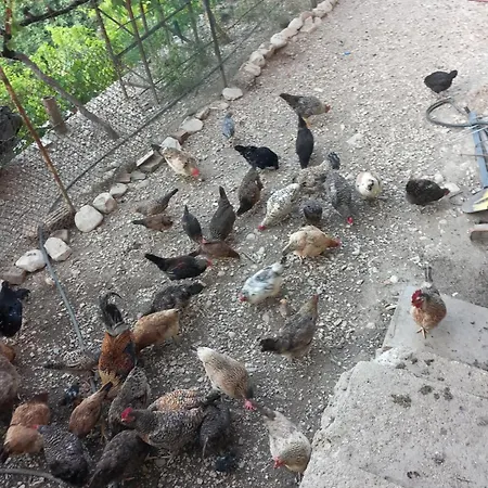 Guesthousemantho Gjirokastër