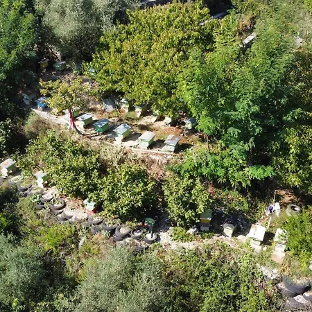 Guesthousemantho * Gjirokastër