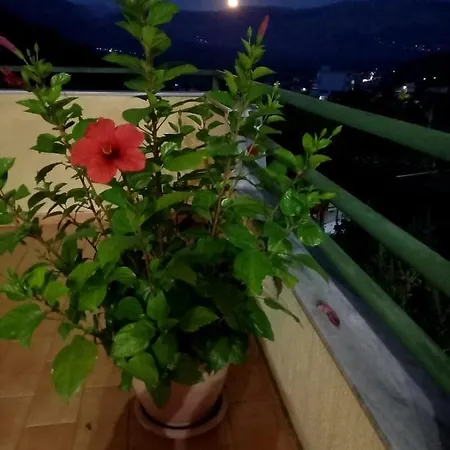 Guesthousemantho Penzion *