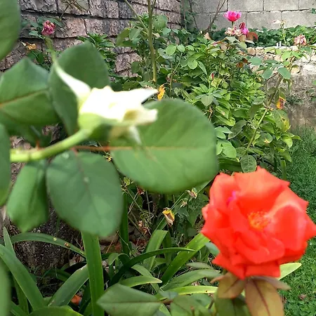 Penzion Guesthousemantho Gjirokastër