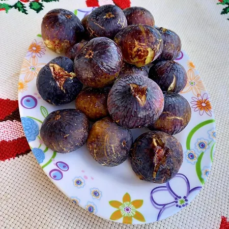 Penzion Guesthousemantho *