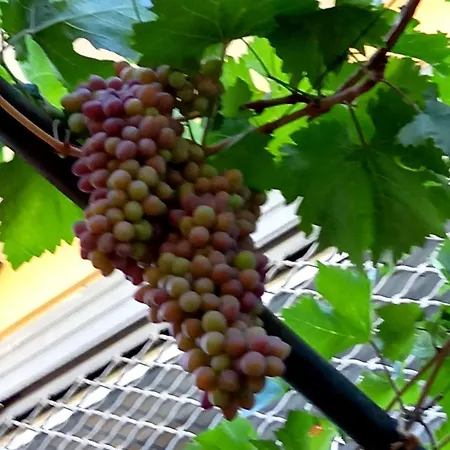 Penzion Guesthousemantho