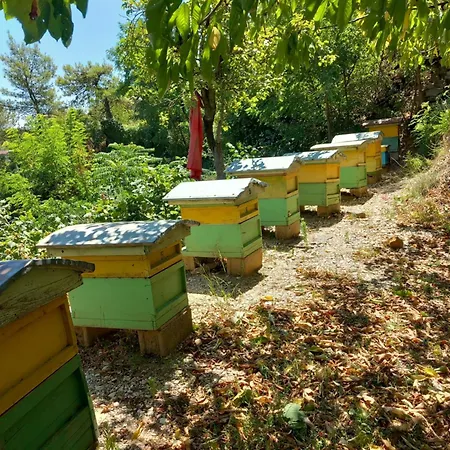 Guesthousemantho Penzion *