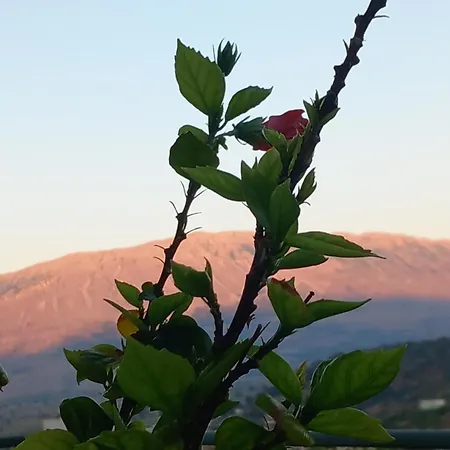 Penzion Guesthousemantho *