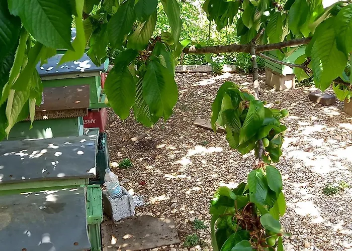 Pensión Guesthousemantho *