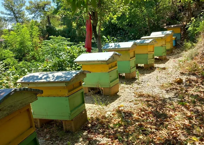 Guesthousemantho Pensión *